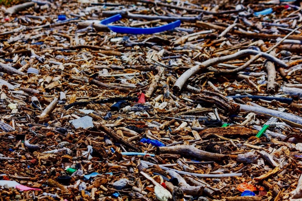 Protecting Our National Wildlife Refuges On Earth Day 2024:  A Call to Action Against Plastic Pollution