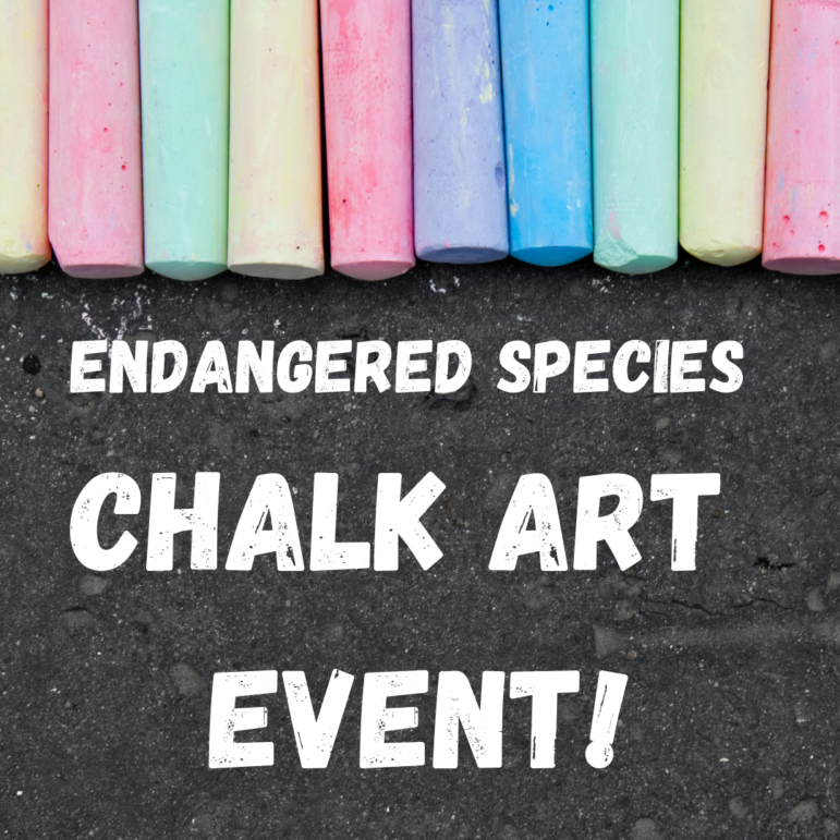 Endangered Species Day is just weeks away. Join the celebration at home or at an event.