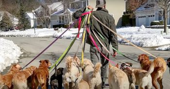 When This Man Walks Down The Street, No One’s Sure What To Think