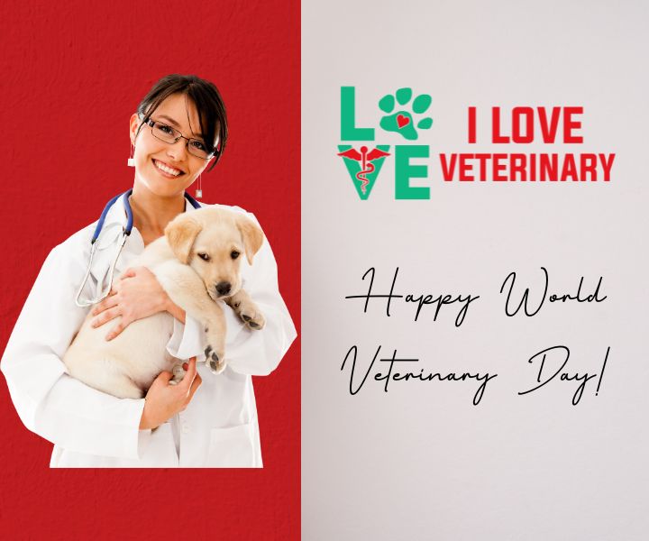 Celebrating World Veterinary Day 2024