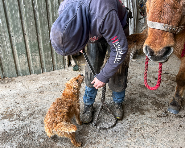 Farrier Day