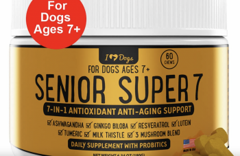 5 Best Dog Longevity Supplements (2024)