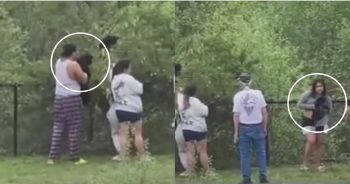 A Group of Individuals Caught Pulling out Bear Cubs Just to Get Selfies!