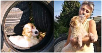 An Old Tire Was The Only Place The Dog Felt Safe ‘Til He Met Her Arms