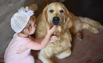 Top 8 Family-Friendly Dog Breeds: Puppies That Love Kids