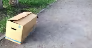 ‘Mysterious’ Box Sitting On Sidewalk Would Soon Be Exposed And Change A Life