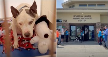 Staff Lines Up For Senior Pit Who Gets The News He’s Been Waiting For