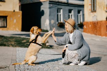 7 Reasons We Should Stop Calling Ourselves “Dog Owners”