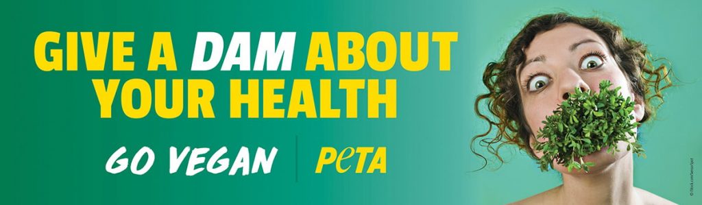 PETA Offers to Help Repair Troubled Dam—If Our Pro-Vegan Ad Is Displayed