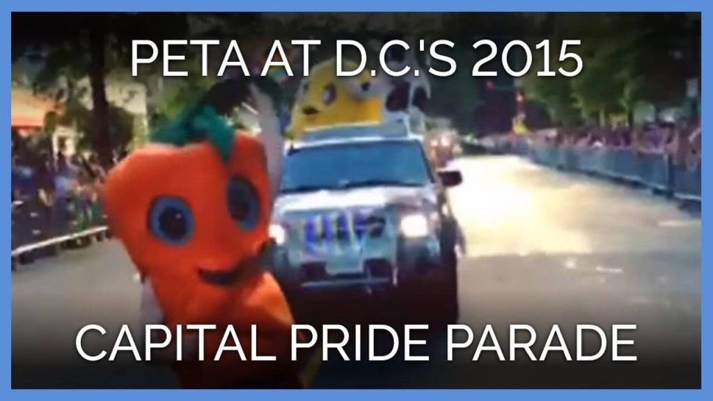From Seedling to Superstar: 20 Years of Vegan Inspiration From PETA’s Mascot