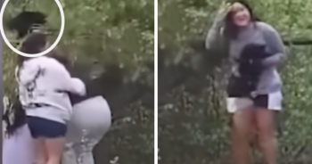 People Caught And ‘Laughing’ On Camera Yanking Baby Bear Cubs From Trees