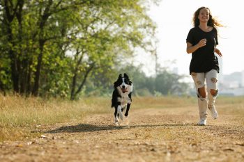 The Best 10 Dogs for Runners