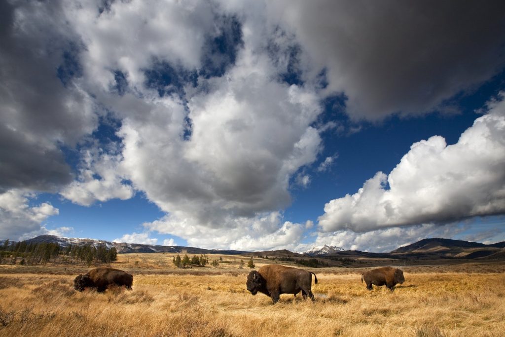 Unveiling America’s Wildest Places: A Night In Santa Barbara