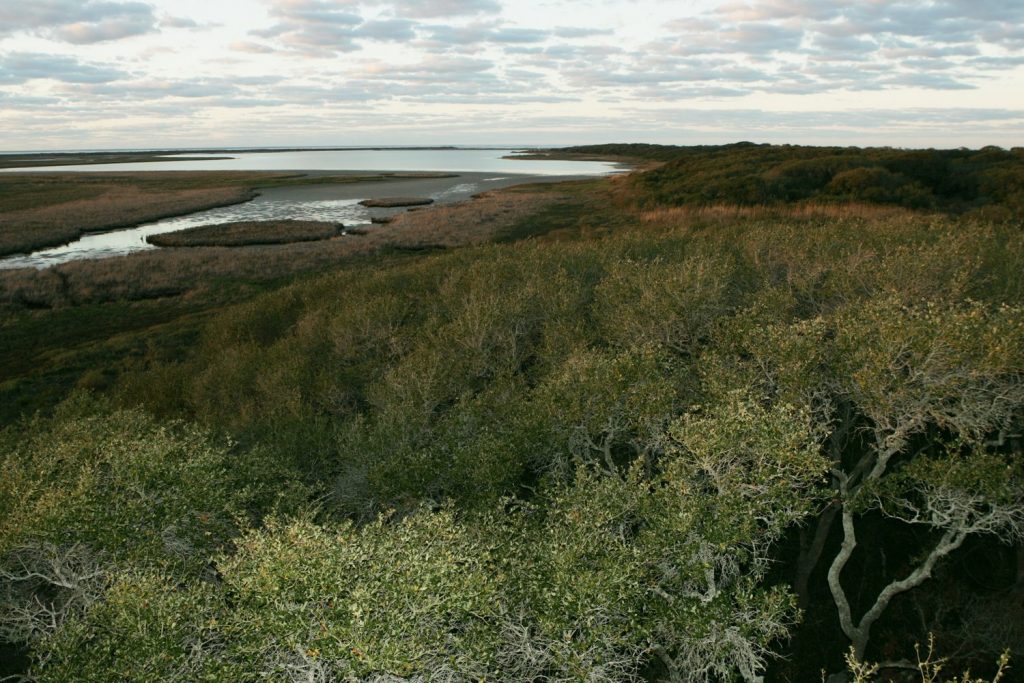 Landmark Expansion For 4 National Wildlife Refuges With Help From The National Wildlife Refuge Association