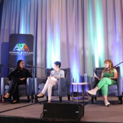 Leading advocates unite at AVA Summit in Washington, D.C.