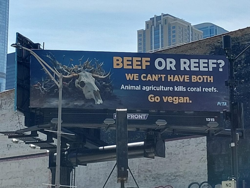 Wave of Urgency: PETA’s Plea for Coral Reefs Hits Chicago and Miami Beach