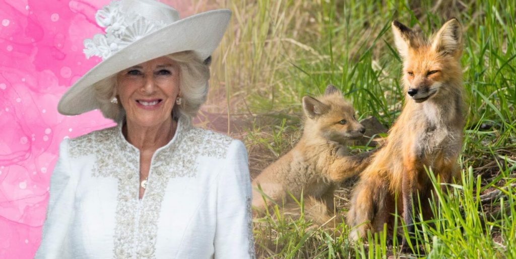 Queen Camilla’s New Wardrobe Rule Reigns Supreme—and Everyone Should Follow It