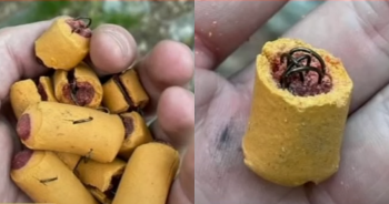 Dangerous Dog Treats Filled With Fish Hooks Discovered On Trails, Officials Warn