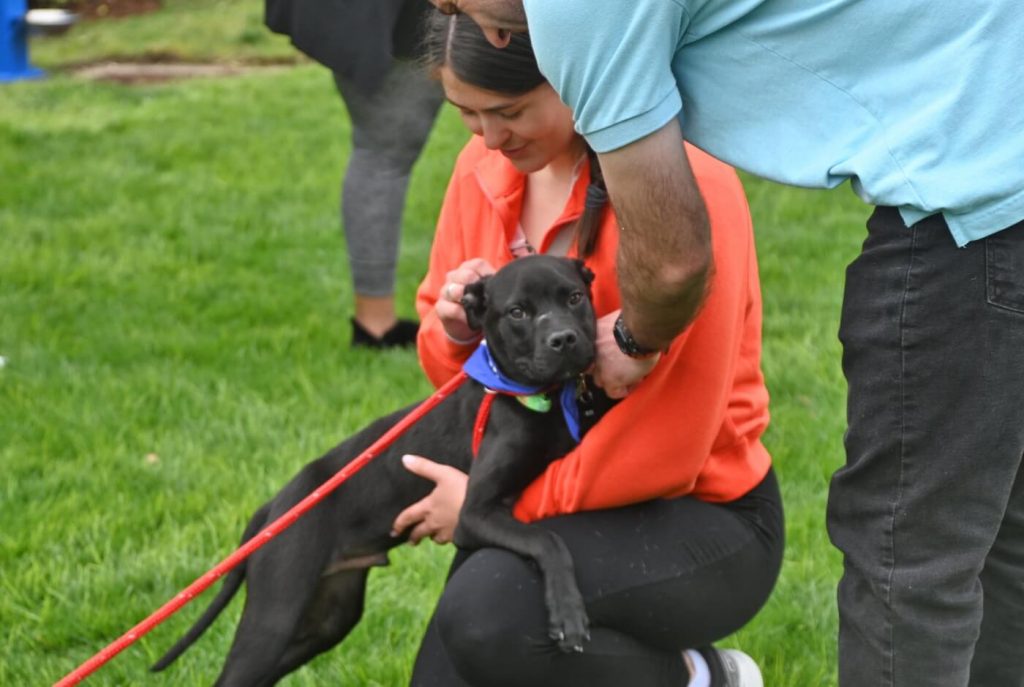 Poochella Is Back! Local Animal Shelters Raised the ‘Woof’ at PETA’s Canine Adoption Fest