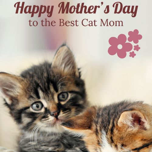 5 ways to celebrate your animal-loving mom