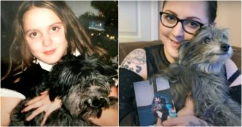 Woman Adopts Senior Dog Who Looks Like The Childhood Puppy She Had Part With