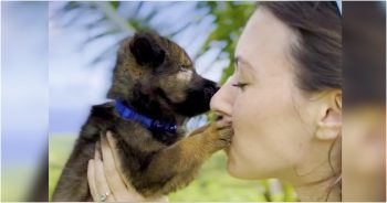 Lady Tells Blind Puppy He Has To Miss His Flight To A New Home