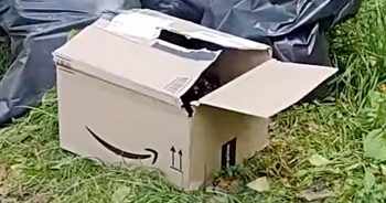 Guy Walks Over To Trashed Amazon Box, Sees Puppy Peeking Through