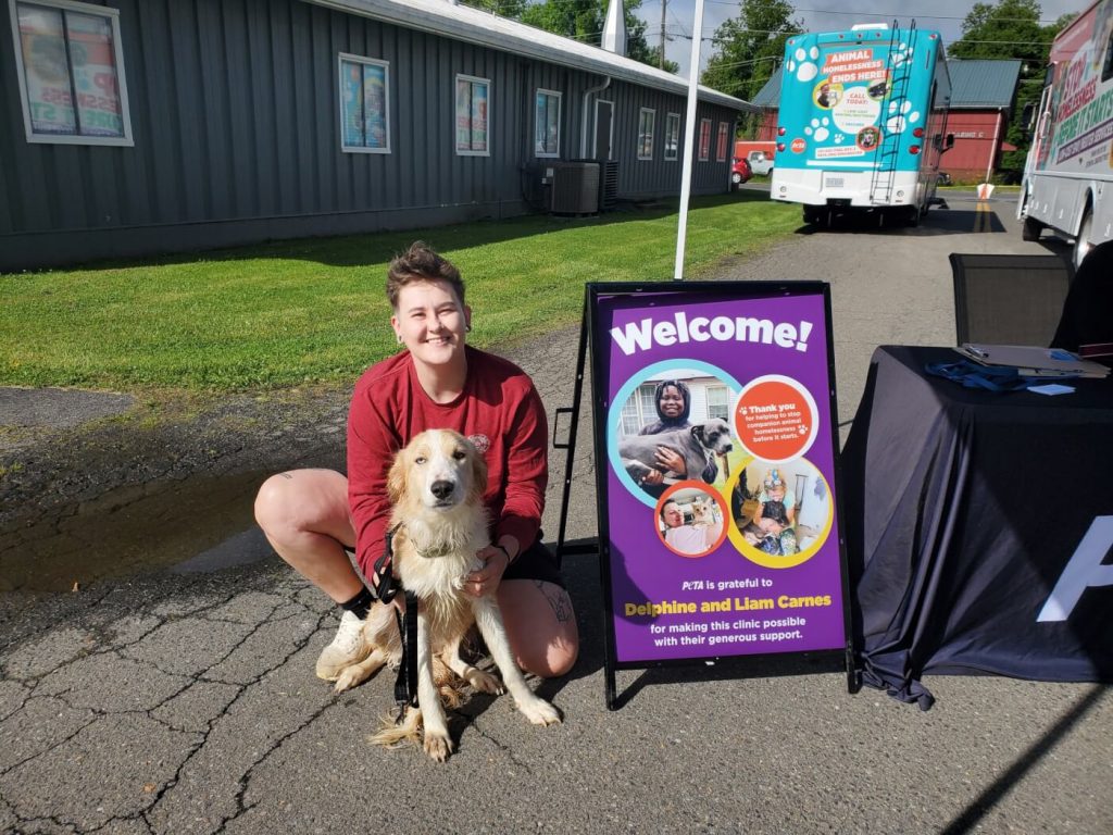 Snip, Snip, Hooray! 229 Cats and Dogs ‘Fixed’ at Galax Spay/Neuter Clinic