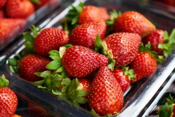 Are Strawberries Safe For Dogs?