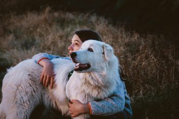 12 Most Vigilant Dog Breeds: We Countdown The Dogs That Are Always on Guard