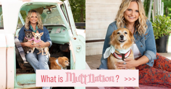 Miranda Lambert To Rock Nashville With “Music for Mutts” Benefit Concert To Save All The Dogs