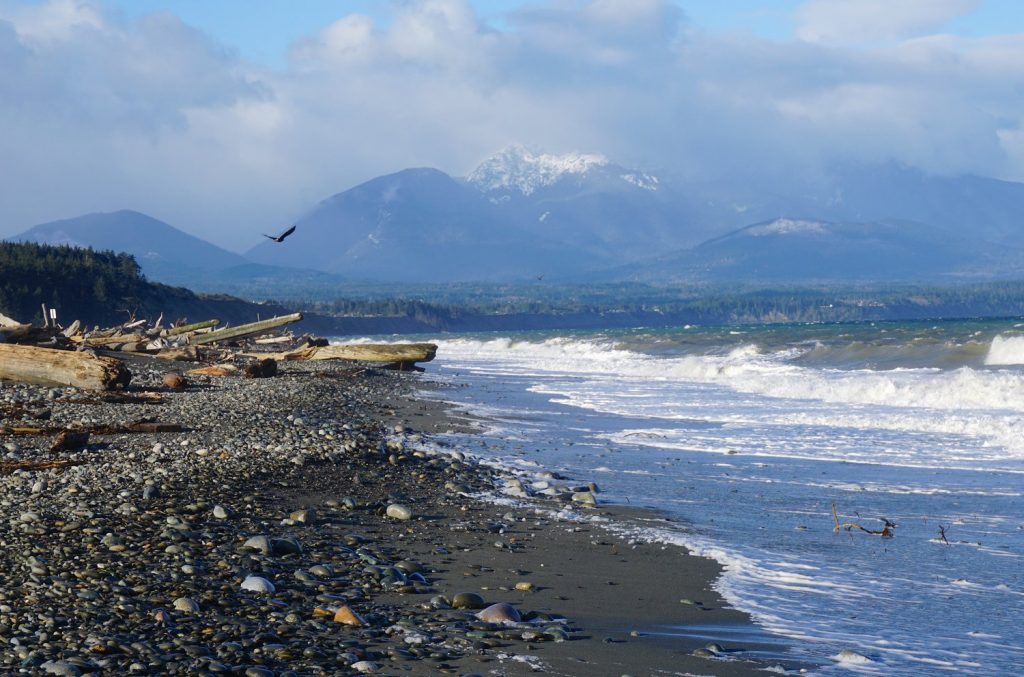 Announcing Our 2024 Wildlife Refuge Awards: Honoring Awardees For Outstanding Conservation Achievements