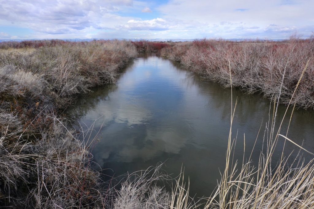 Robert Luna Honored As 2024 Refuge Employee Of The Year For His Outstanding Service At Toppenish National Wildlife Refuge