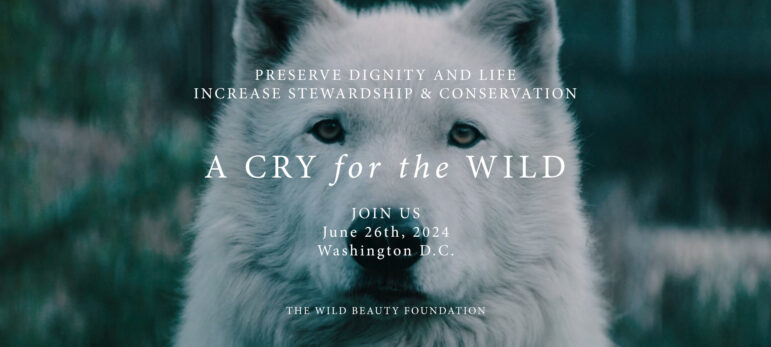 Join us for a Rally for Wolves in DC: “A CRY FOR THE WILD” Wednesday, June 26th