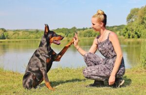 8 Most Loyal & Protective Dog Breeds