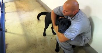 Dog Was Put Into An Inmate’s Jail Cell, Inmate Sees The Dog And Swiftly Grabs Him