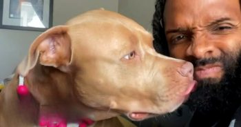 ‘Misunderstood’ Pit Bull Couldn’t Help Her Excitement When Meeting Her New Best Friend