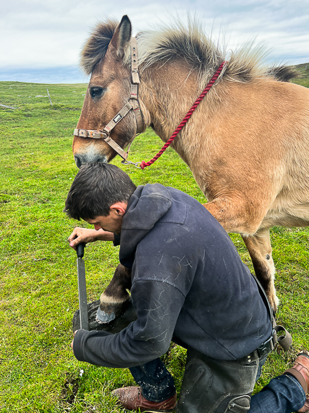 Farrier Today