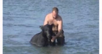 Man Jumps into Water to Rescue Huge Bear from Drowning