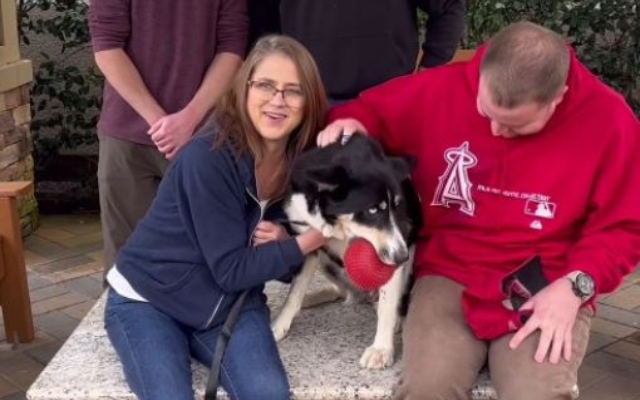 Poor Mother Dog Tied to a Tree Waits Patiently for Rescue