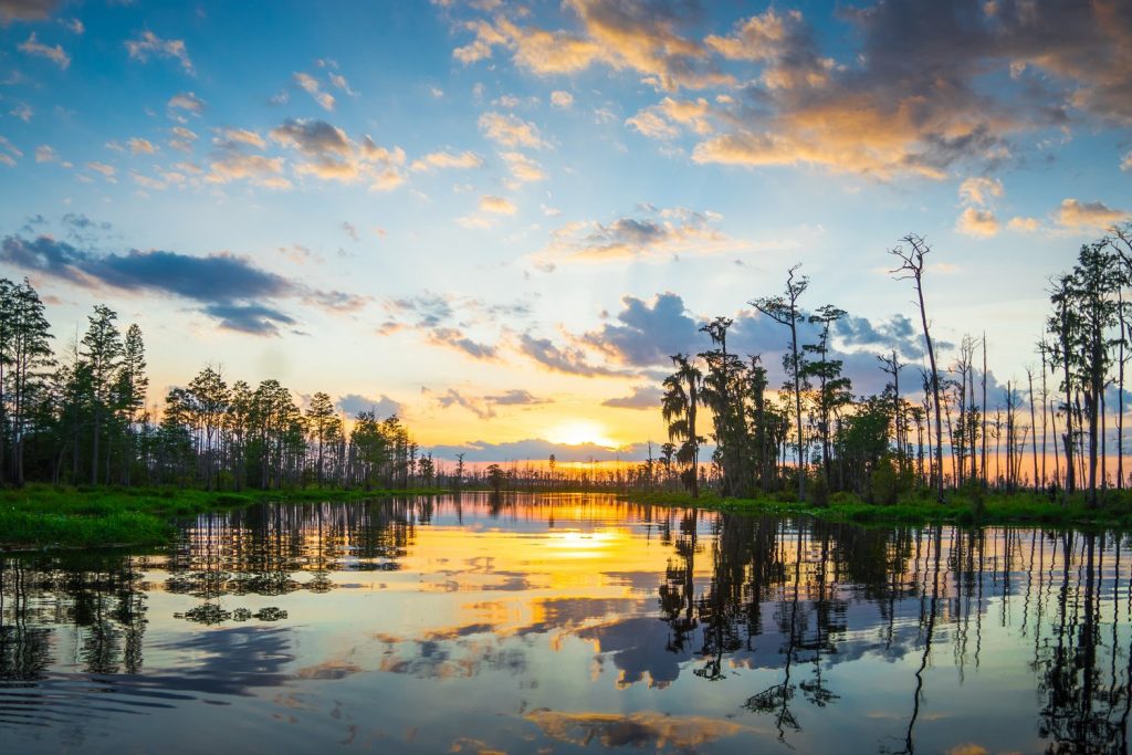 Okefeenokee Protection Alliance Honored As Refuge Advocate Of The Year For 2024