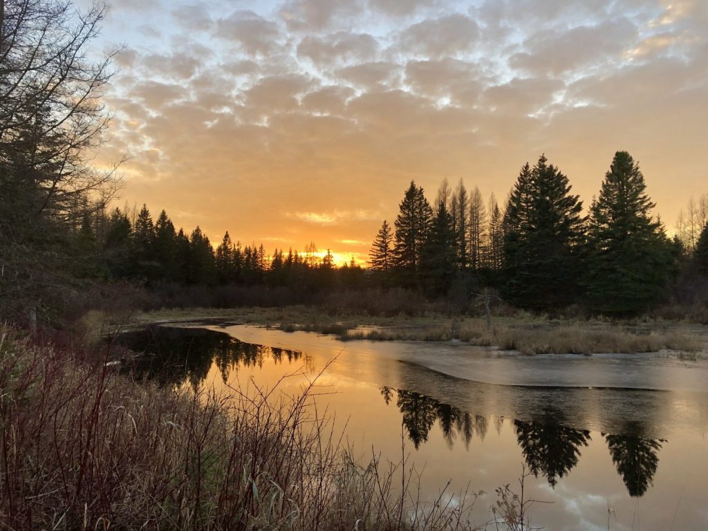 Wayne Selfridge Honored As 2024 Refuge Volunteer Of The Year For His Exemplary Service At  Aroostook National Wildlife Refuge