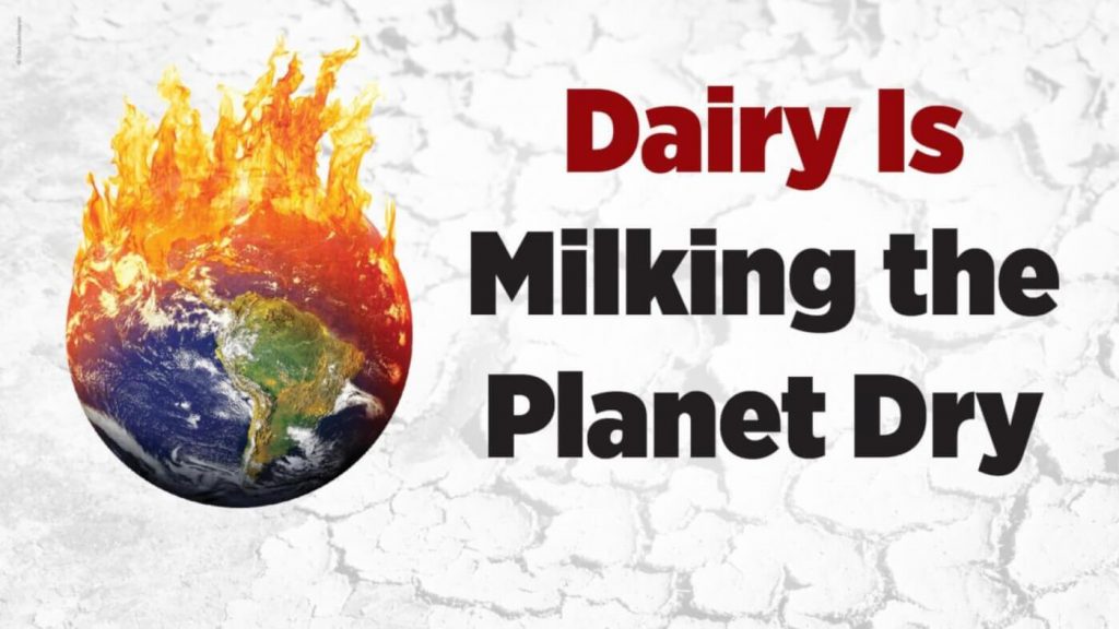 Why Ditch Dairy? Because Cheese Is Melting the Planet