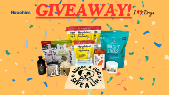 Win A Year’s Worth Of Dog Treats And More From Noochies & iHeartDogs!