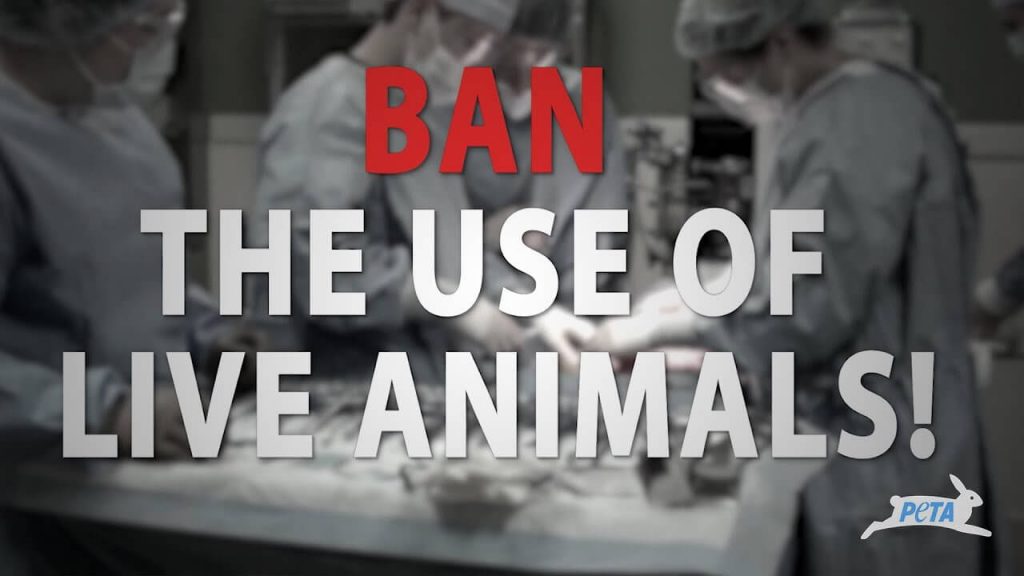 PETA to Med Students: 3 Questions to Help Save Animals and Your Education