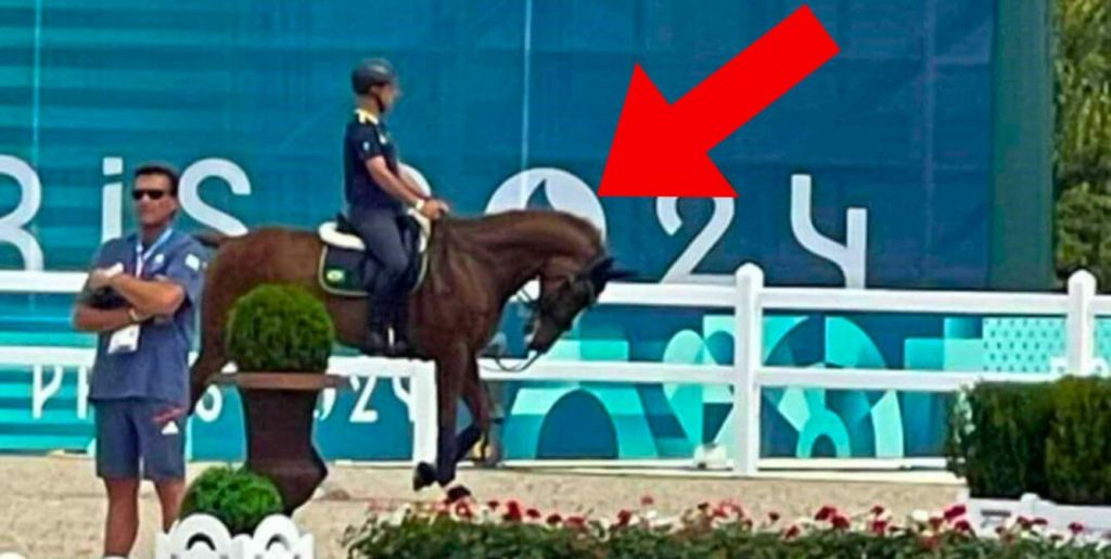 Major Cruelty to Horses at the Olympics! PETA Calls For Ban on Equestrian Events