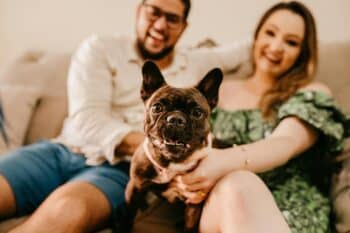 Top 12 Dog Breeds For Married Couples