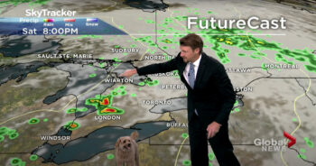 Meteorologist’s Dog ‘Interrupts’ Weathercast In Search Of Treats