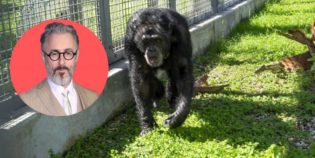 ‘Chimp Crazy’s’ Tonia Haddix Is STILL Exploiting Wild Animals; Alan Cumming Asks Feds to Do Their Job