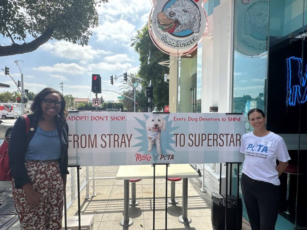 PETA Teams Up With Popular Vegan Burger Joint to Highlight Homeless Pups